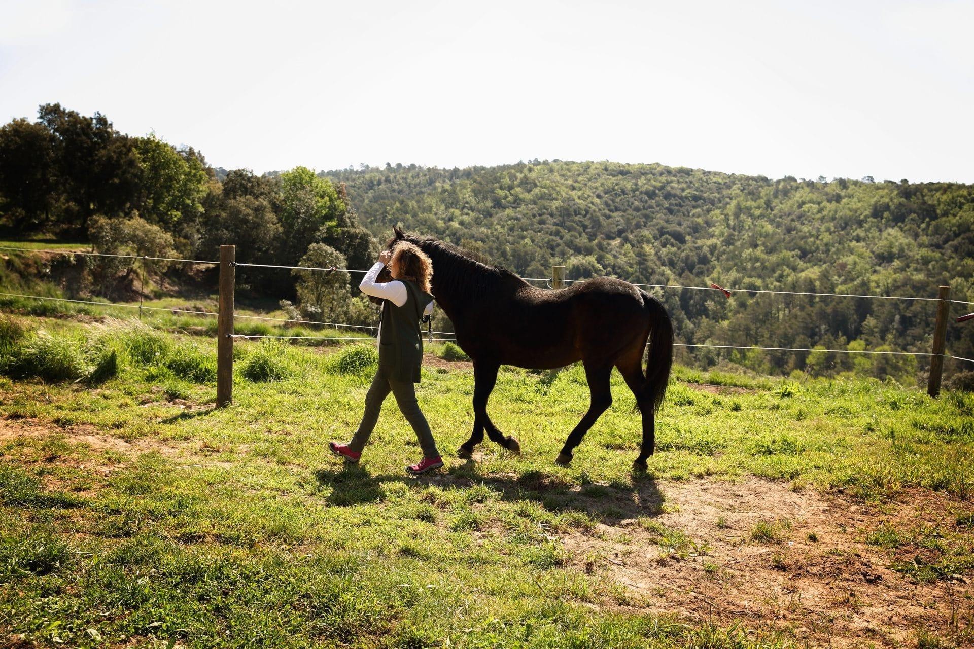 Caballo paseando con Blanca