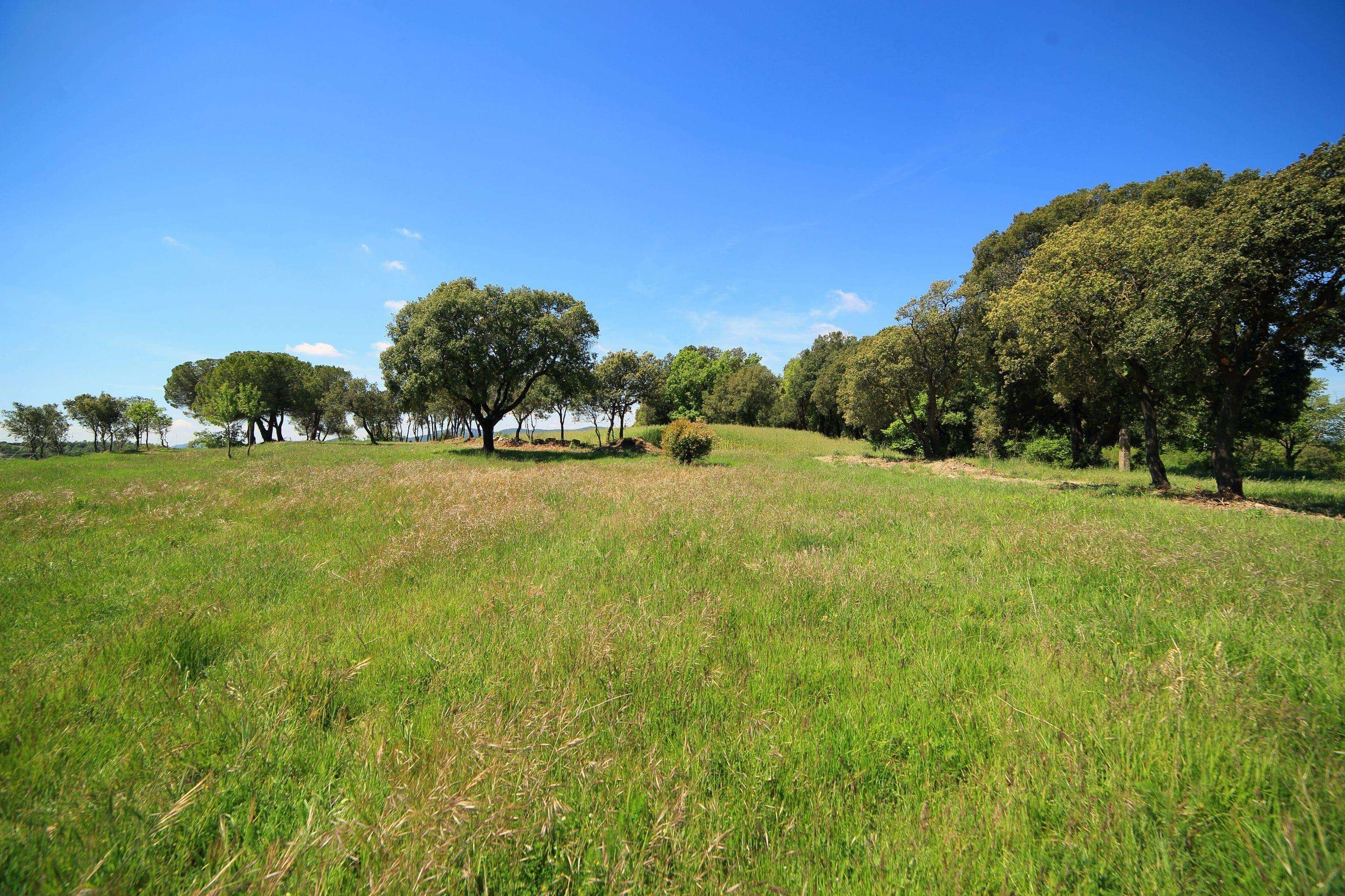 Vistes del camp de Serracarbassa