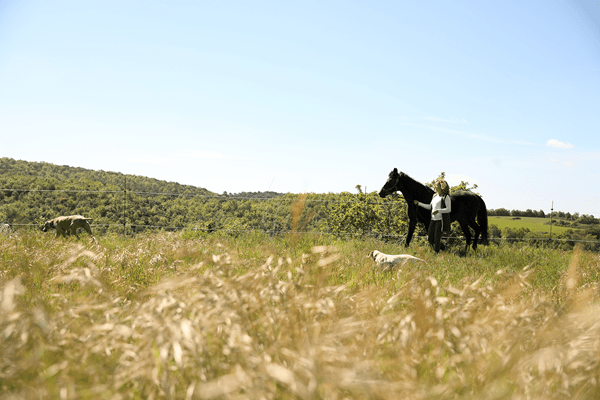 Paseando por el campo