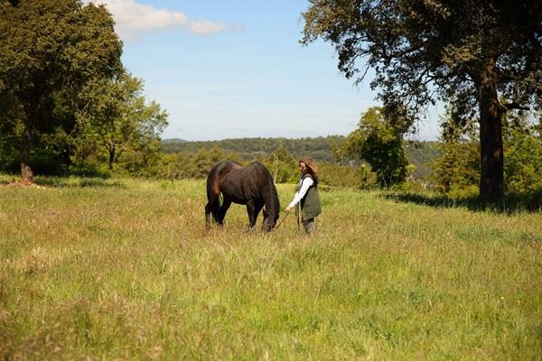 Blanca and brown horse taking a walk 