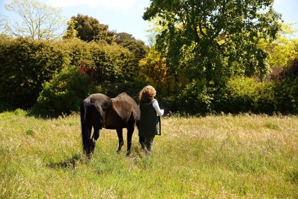 Blanca and brown horse taking a walk 2