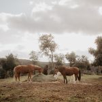 Foto de Eva Priego